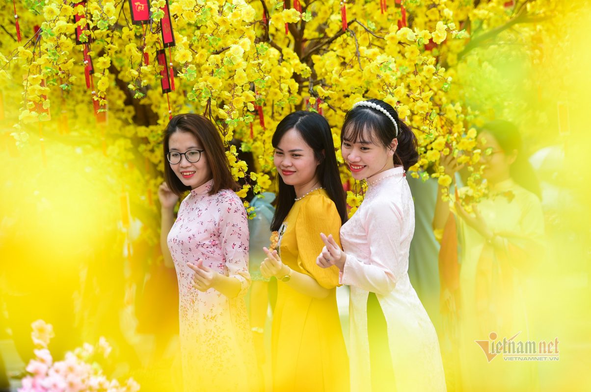 Ảnh minh hoạ vui xuân 2023